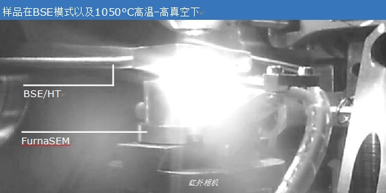 &#21326;&#20307;&#20250;&#20307;&#32946;&#40;&#20013;&#22269;&#41;